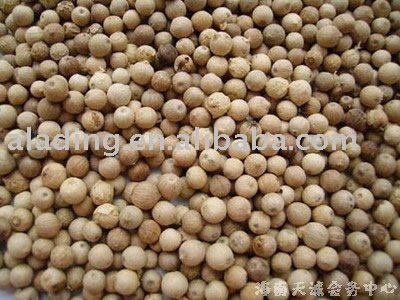 Piperine 98%