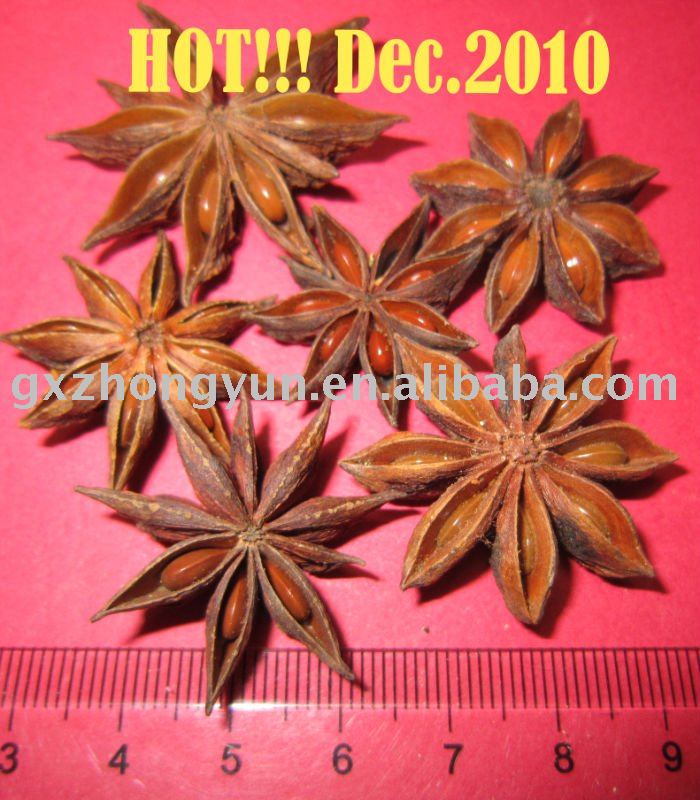 star aniseed
