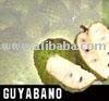 Guyabano