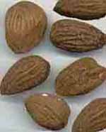 Almond