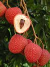 Sweetheart Lychee Fruit