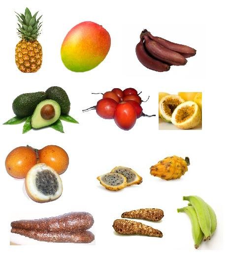 Tropical Fruit