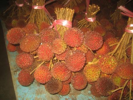 Pulaisan