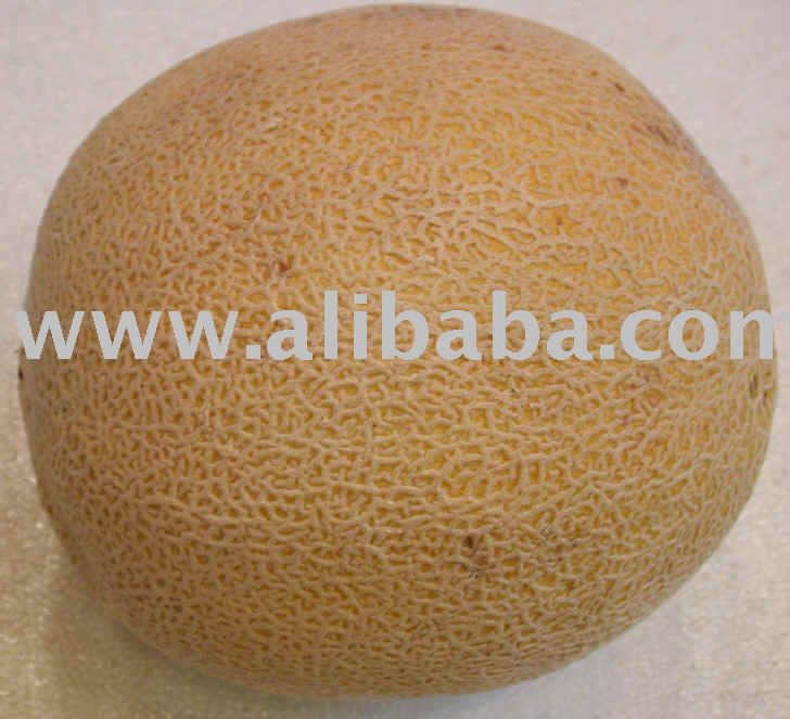 Cantaloupes