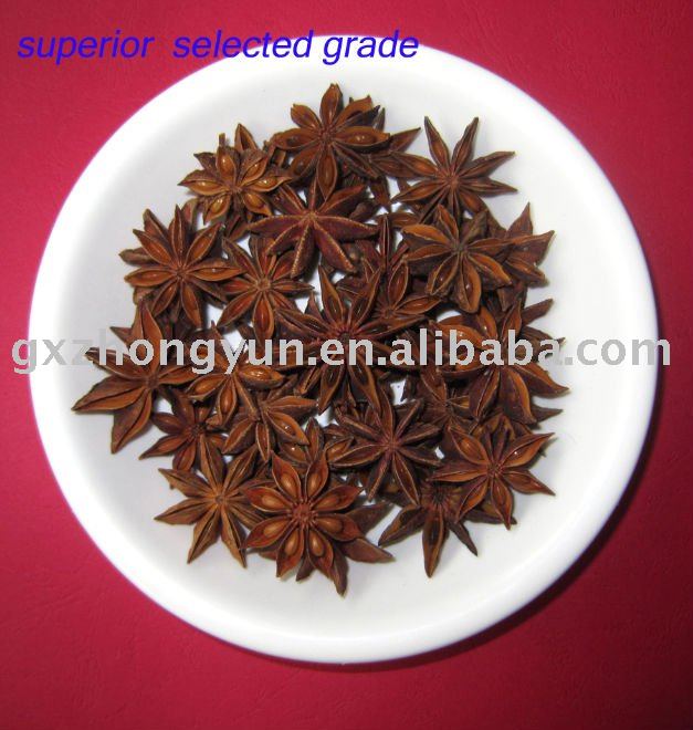 chinese anise,anise,star anise,spice anise