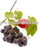 Selling Fruit concentrates(Apple-peach-apricot-Sour cherry-grape-Red beet-carrot juice concentrates)
