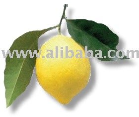  Lemon   Lime   Flavor  1212