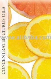 Concentrated Citrus Oils