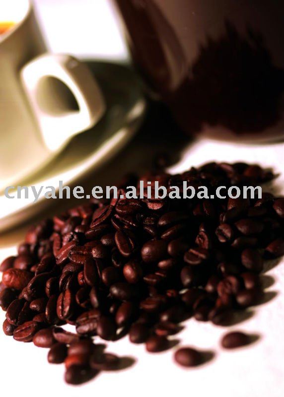 Popular Cocoa flavour