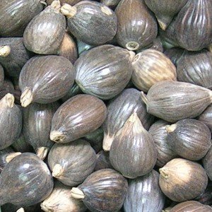 Pearl Barley With Black Shell