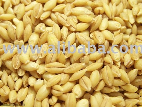 QUALITY HULLED BARLEY