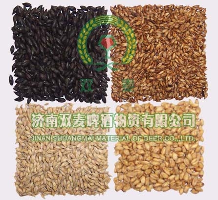 Barley Malt,wheat malt, caramel malt black malt,coffee malt