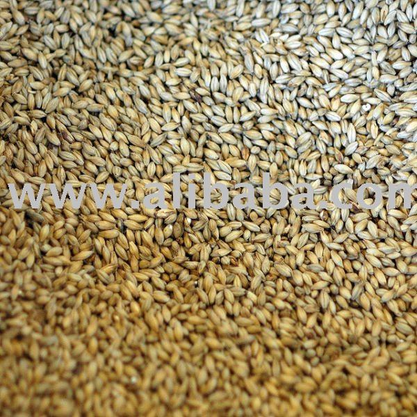 SOYABEAN MEAL, FEED WHEAT, FEED BARLEY