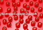 tomato powder 40mesh