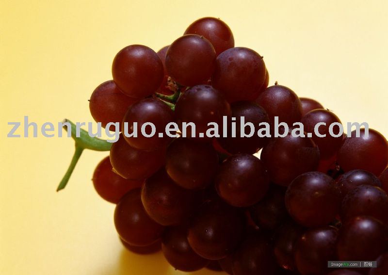 spray  dried   grape   powder 