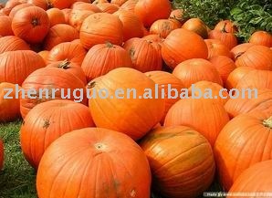 Natural  pumpkin  powder