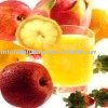  Food   enhancer 