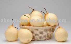 SD pear powder