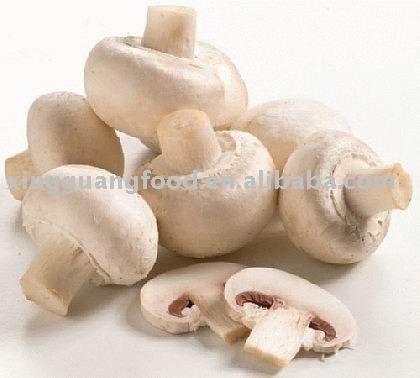 mushroom