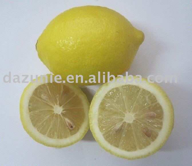 Fresh Lemon