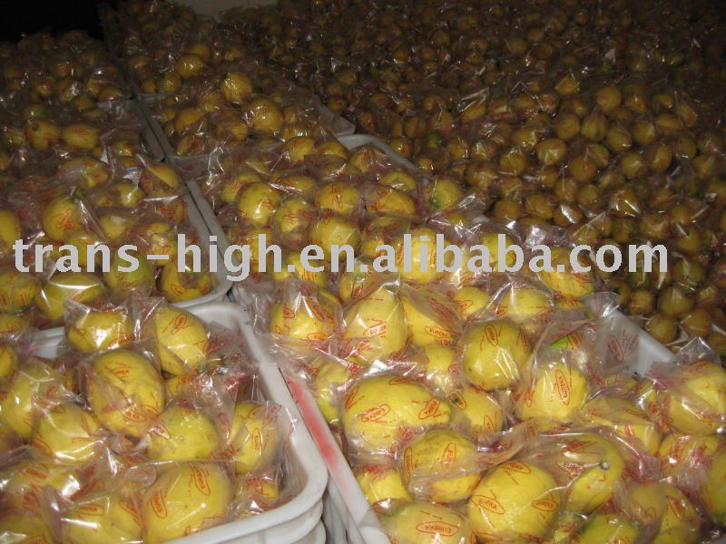  Chinese   Lemon 