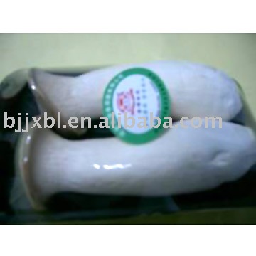fresh pleurotus  Eryngii