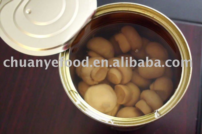 canned mushroom whole(button mushroom)