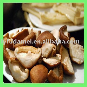 fresh mushroom