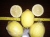 sell lemon
