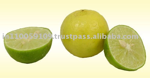 indian fresh lemon