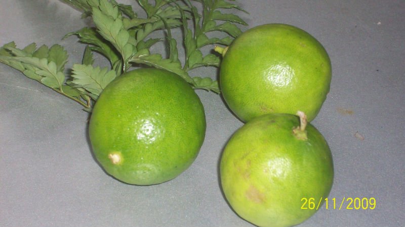 Fresh Lemon