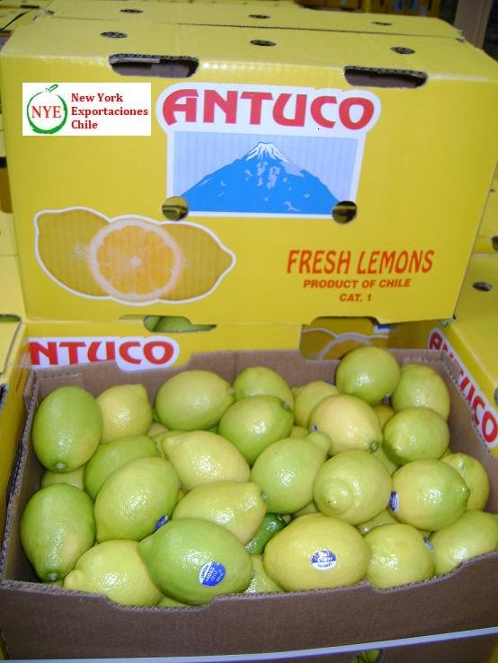 fresh lemon