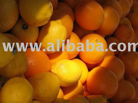  fresh   yellow   lemon 