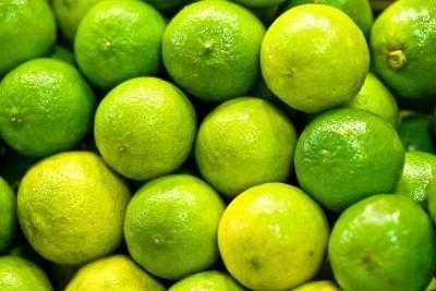 Fresh  Lemon ,Fresh Seedless  Lemon , Lemon / Eureka   Lemon /Fresh  Lemon 