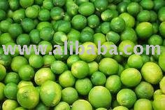 fresh citrus