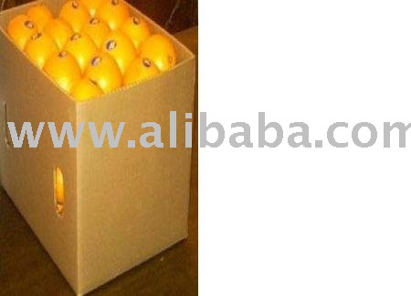 FRESH QUALITY TANGERINE ORANGES