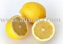 Fresh Indian lemon
