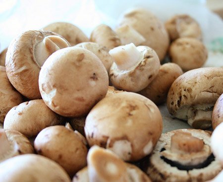  FRESH   FLOWER   MUSHROOM 