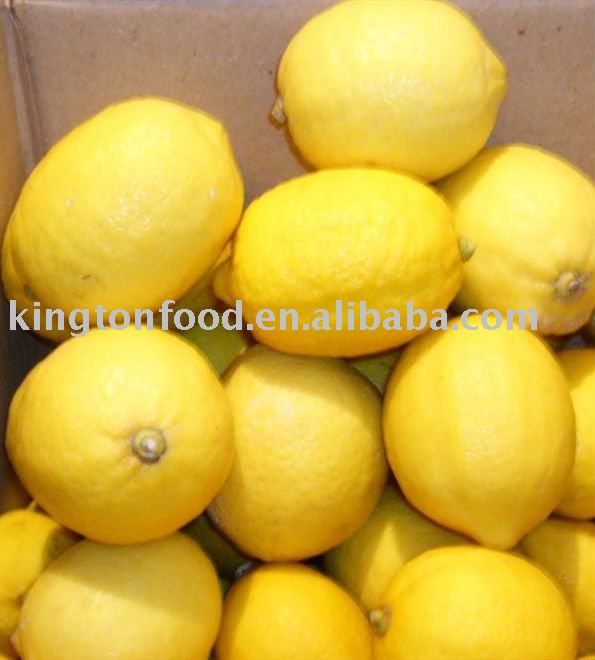  Chinese   Lemon 