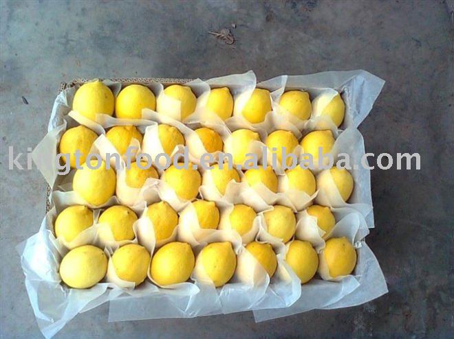 chinese lemon 2010