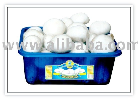  Fresh   Champignon s -  Fresh  Agaricus Bisporus