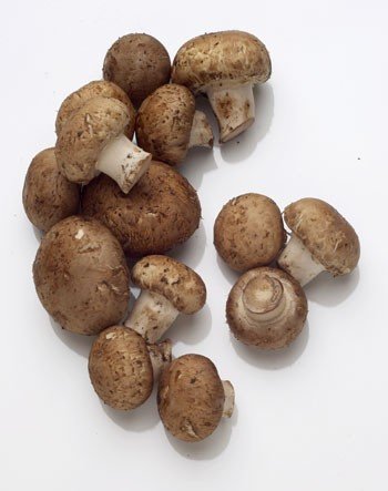 fresh  vegetable s:  MUSHROOM  CRIMINI