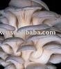 Fresh Australian Grown Grey Oyster Mushroom
