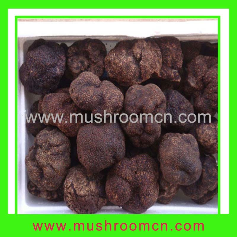  Fresh   truffles   mushrooms 