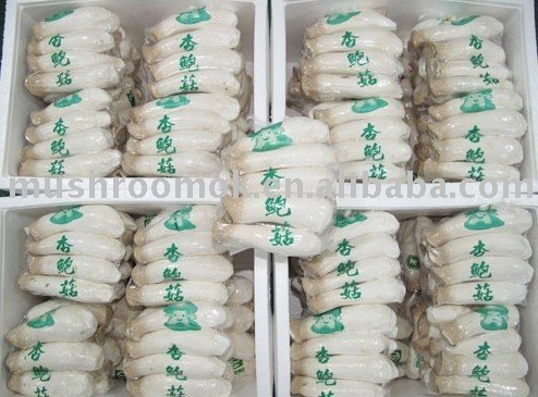 Fresh eryngii (King Oyster Mashroom)