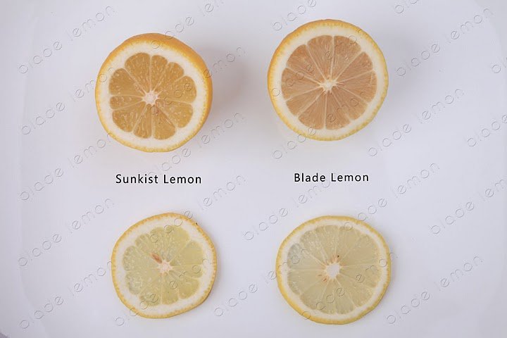 fresh farm  eureka lemon