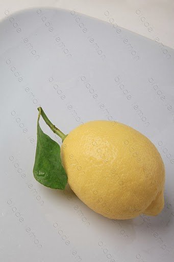 agriculture   lemon