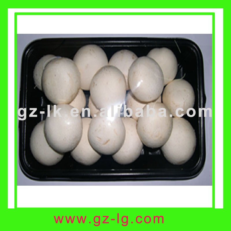 Fresh  agaricus   mushroom (white button  mushroom )