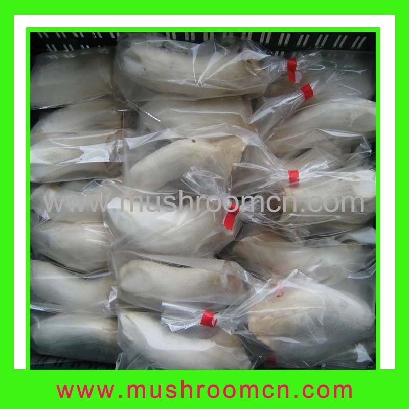  fresh   king   oyster   mushroom 