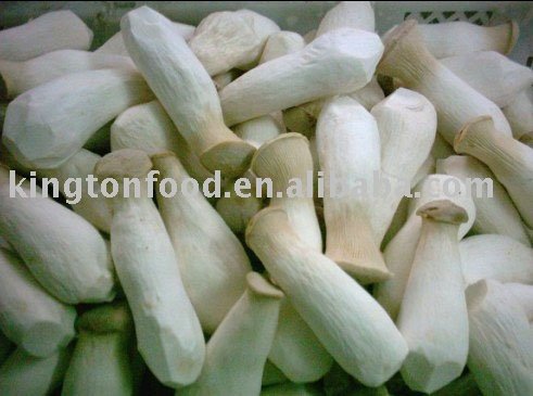  Fresh   Eryngii 